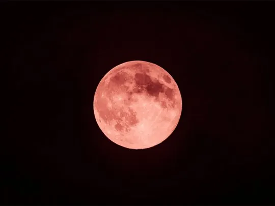 luna-fresa-2png