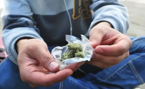 Droga-marihuana-menor-500x307