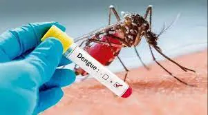 pico-dengue (1)