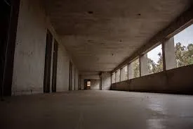 san martin salud mental