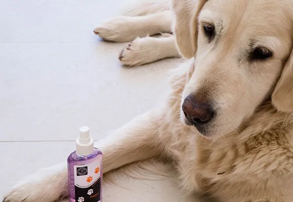 perfumes-para-mascotas