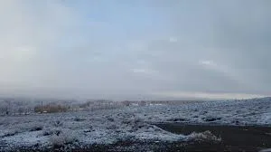 nieve 2