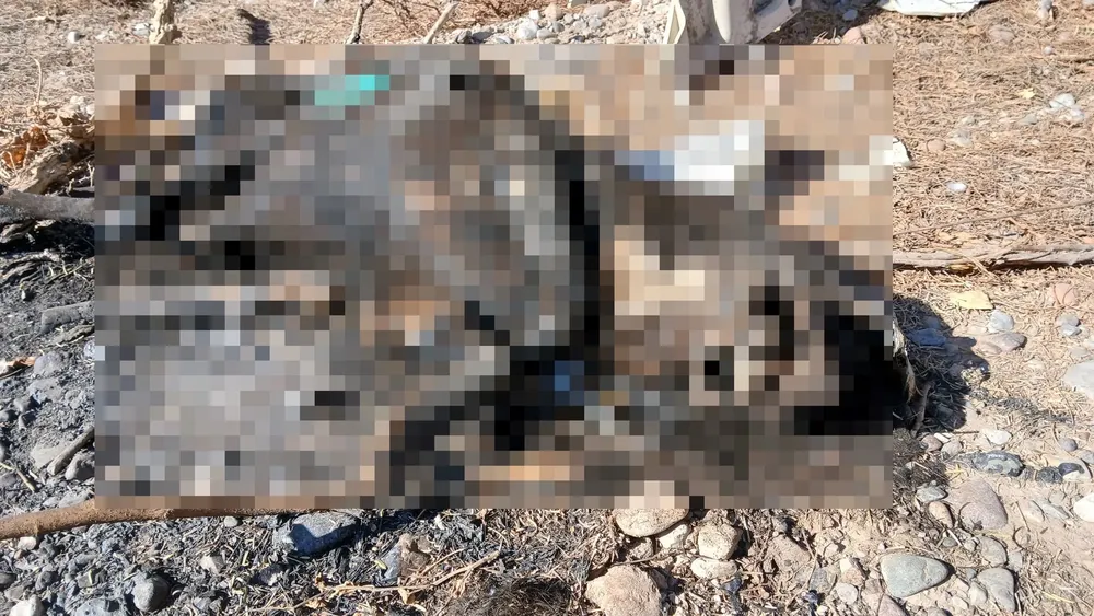 quemada-jpeg