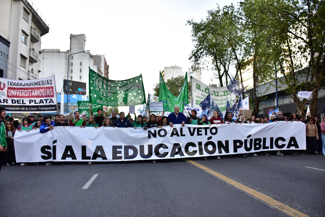 universitarios