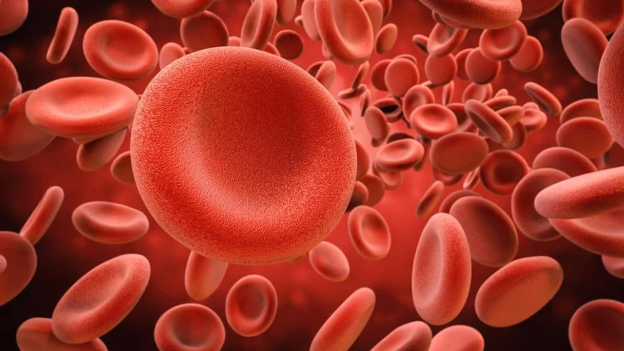 sangre