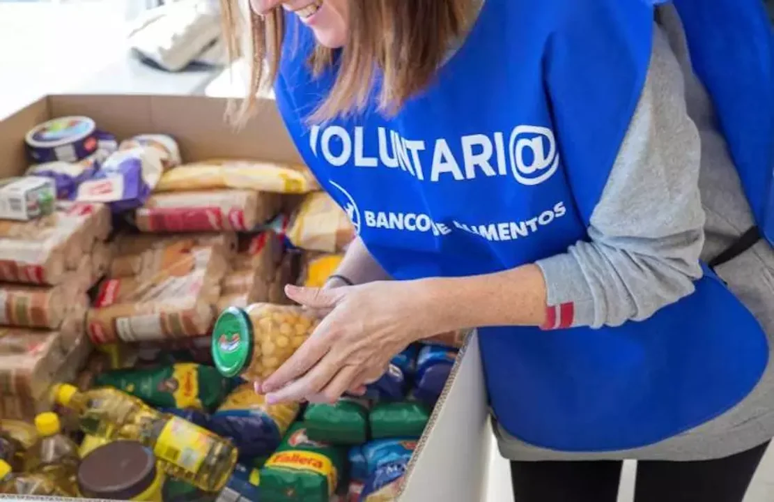 alimentos
