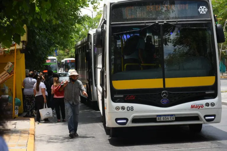 colectivos-redtulum5-768x512