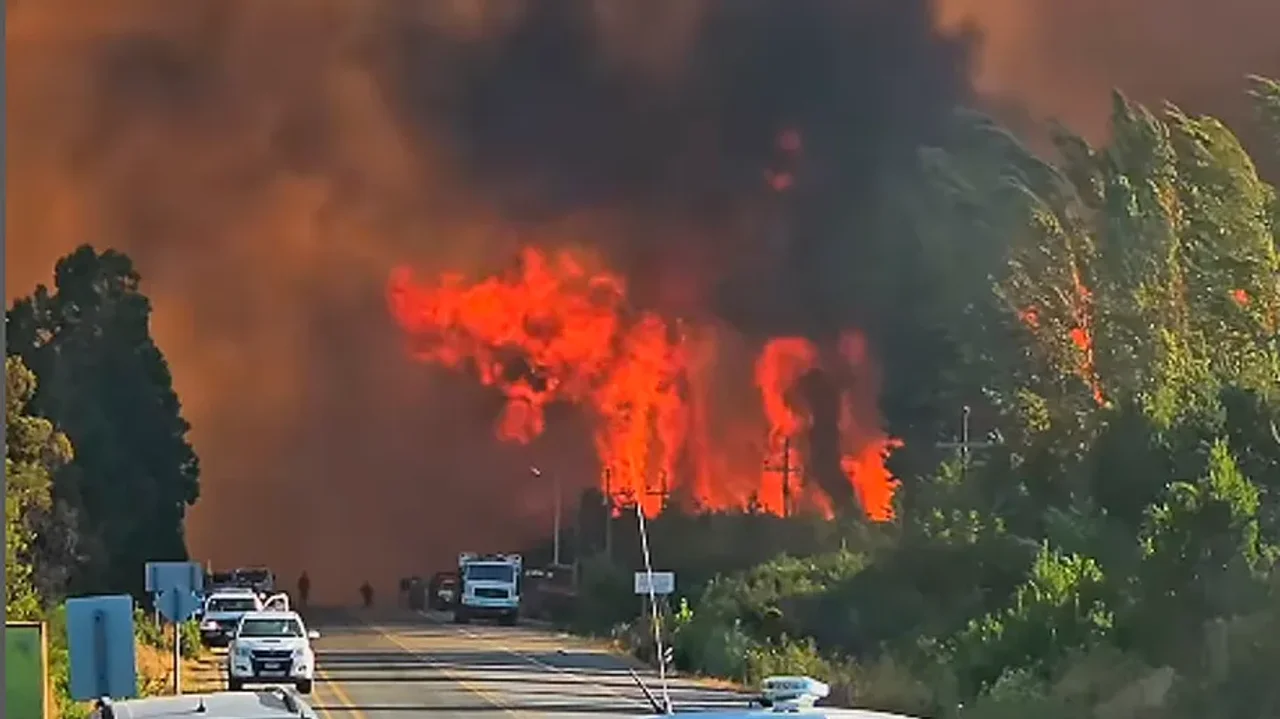 incendios bolson