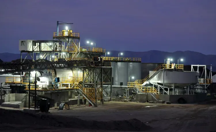 Casposo-planta-nocturna-1_result