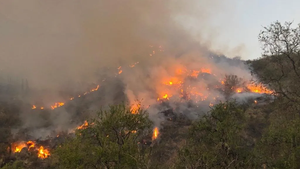 incendio valle