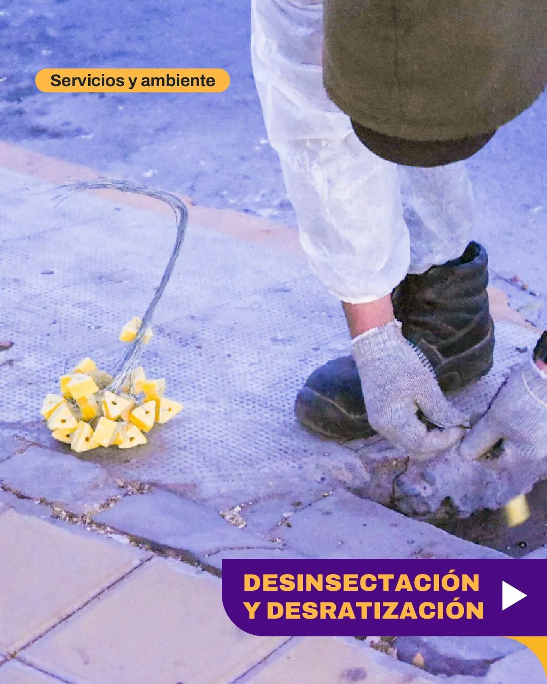 servicios.ambiente-jpeg