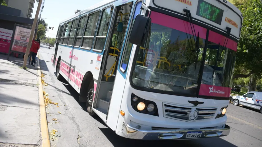 colectivos