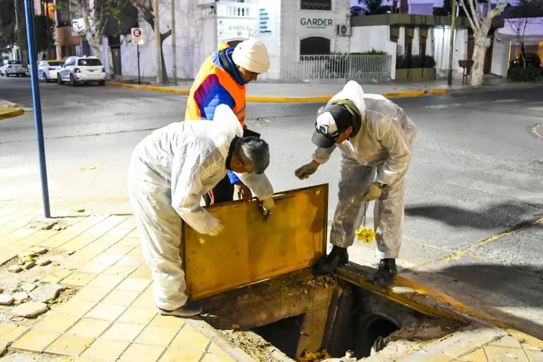 desinsectacion