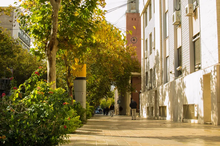 Ciudad sol