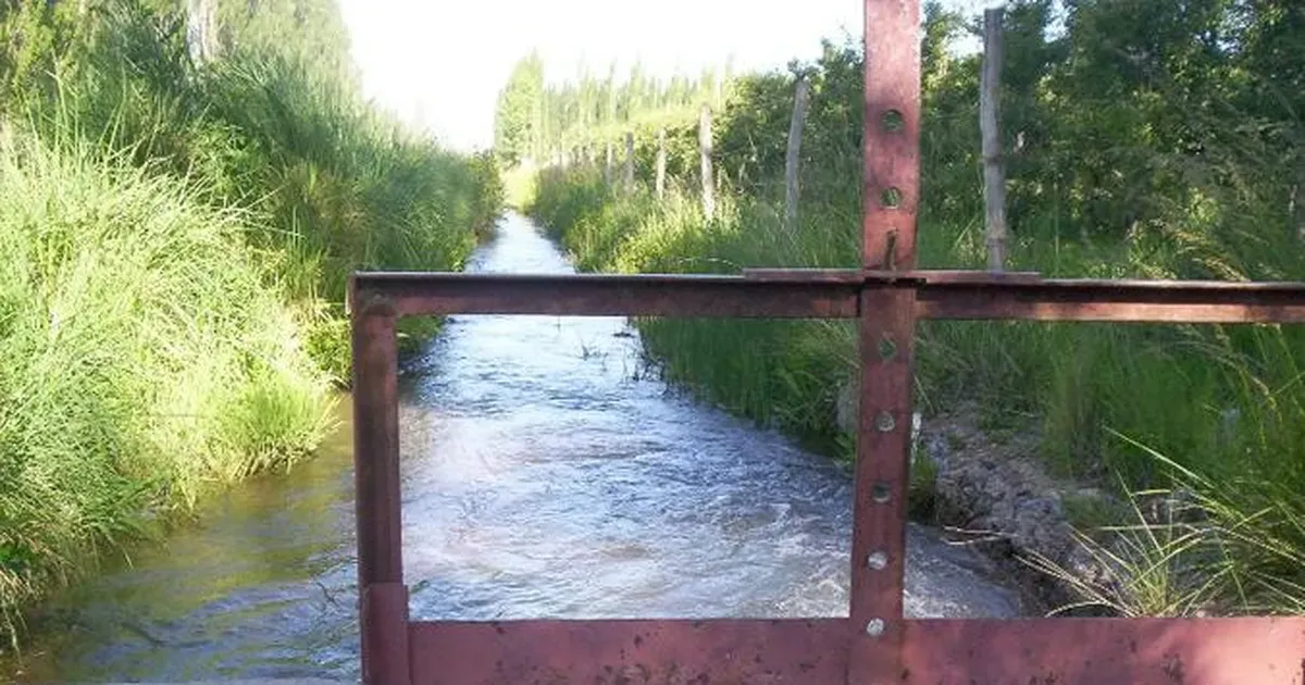 riegoagua