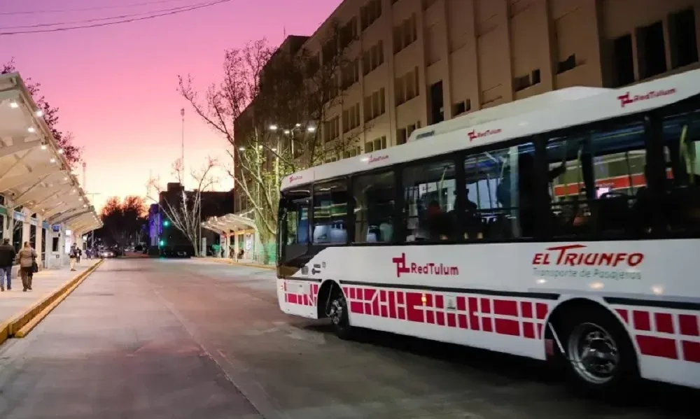 colectivos