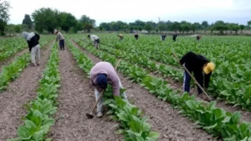productores-mineria