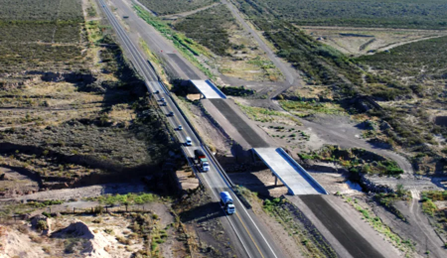 ruta 40