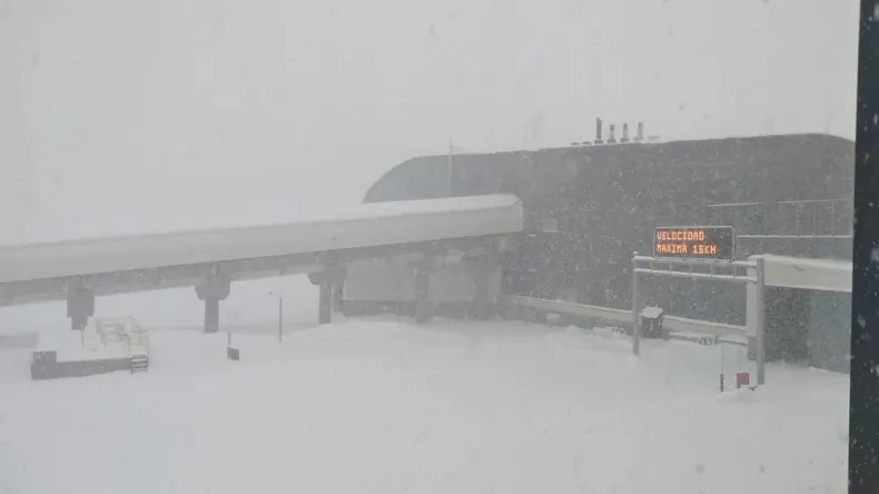 nevadas
