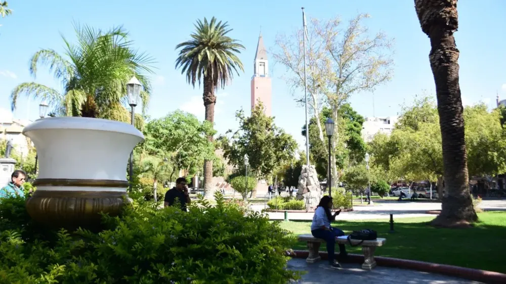 PLAZA-25-(5)