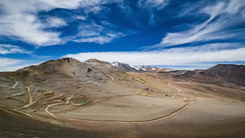 vicuña-jpeg