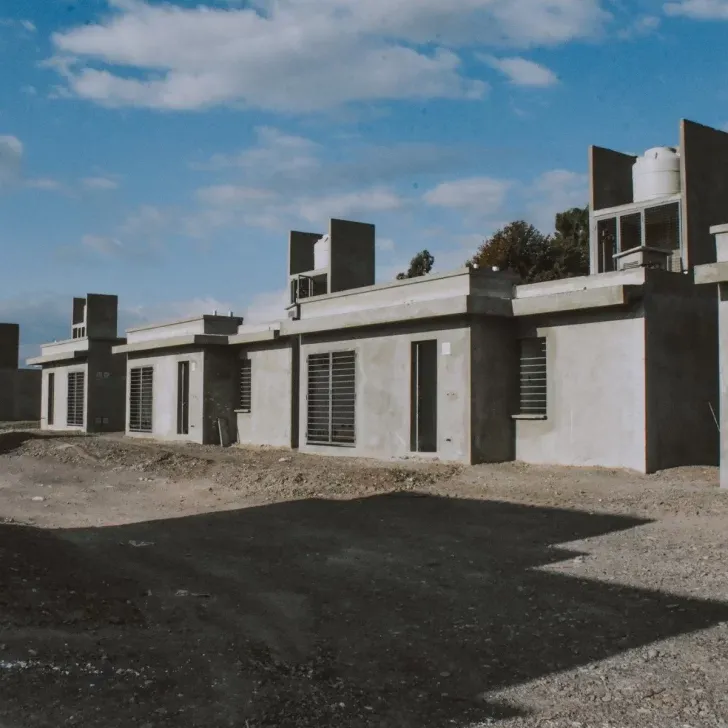 ipv.jpg_1199923512-728x728