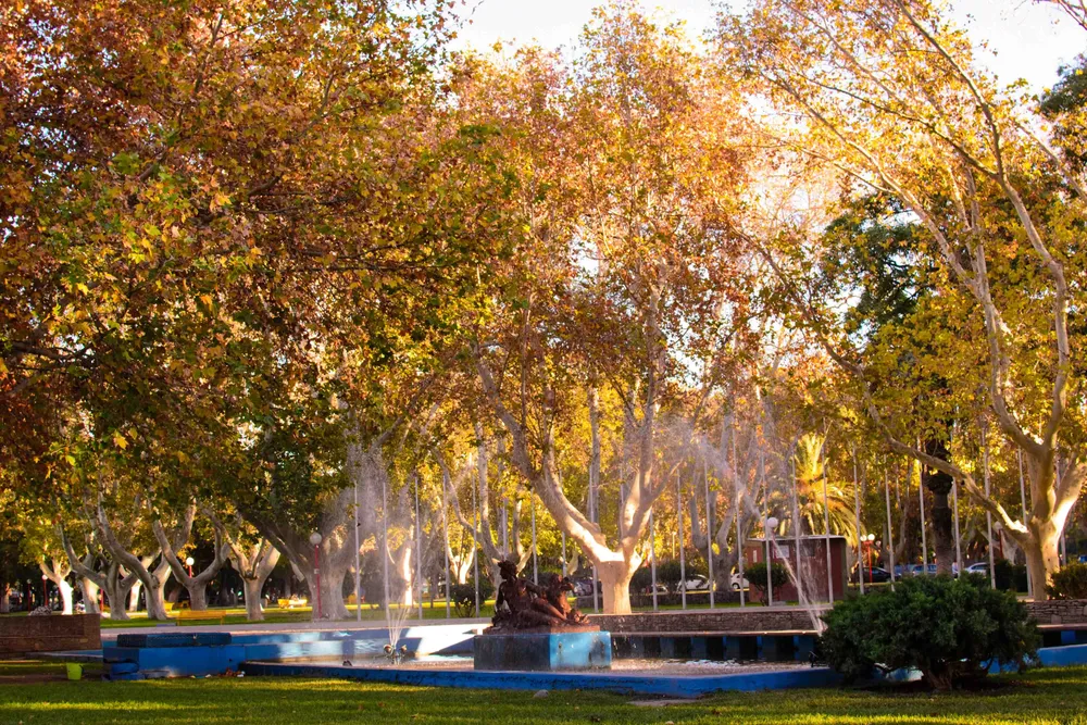 parque soleado