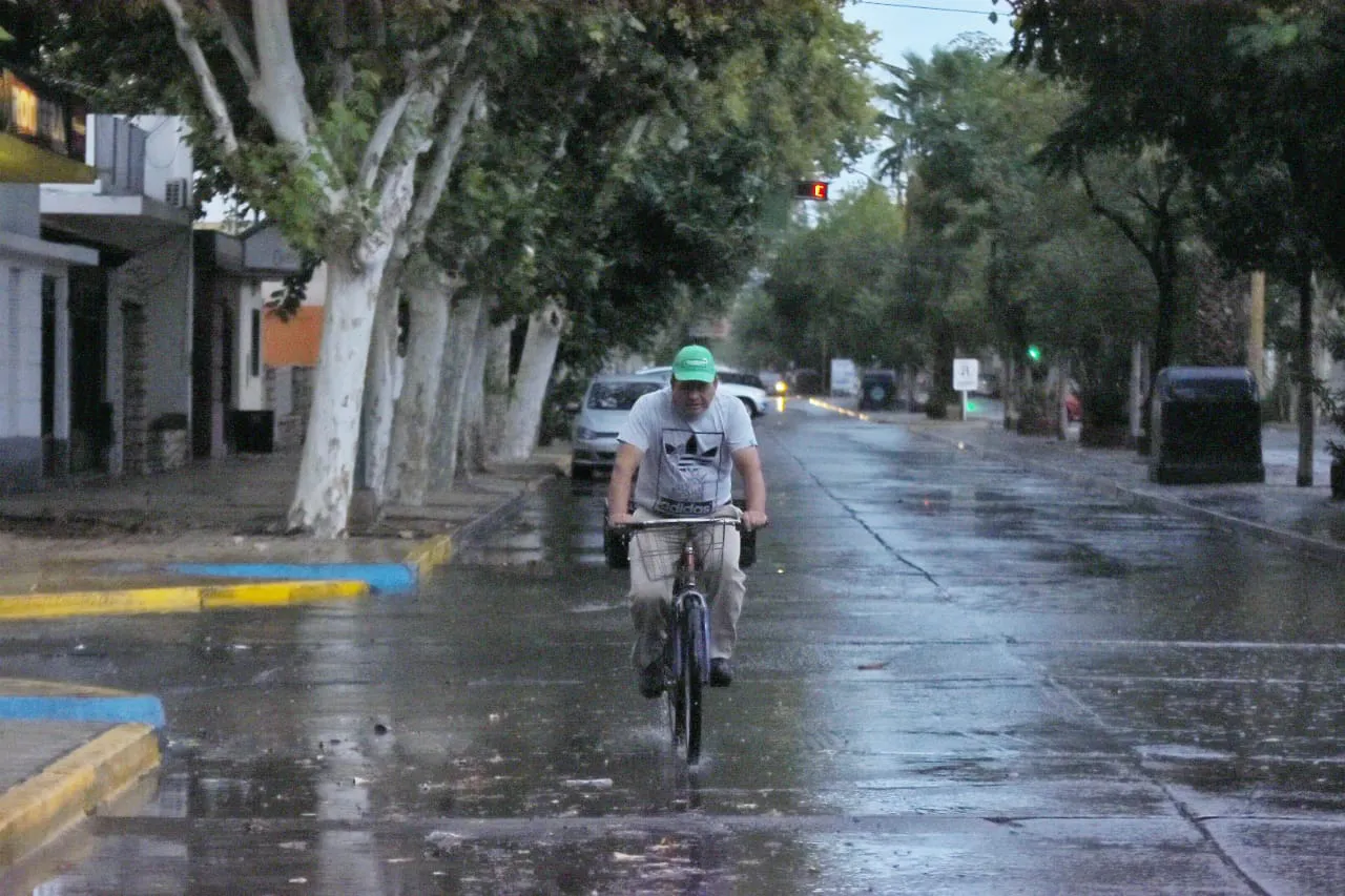 multimedia.normal.bca6b71d6e9a843a.bm9ybWFsLndlYnA=