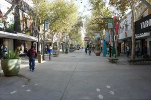 Comercios abiertos y ventas moderadas: el feriado expuso fallas de coordinación en el sector