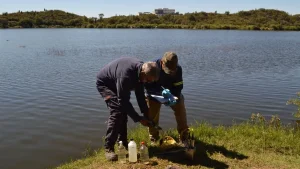 Investigan la mortandad de peces en el Dique San Agustín y esperan resultados de análisis en 15 días