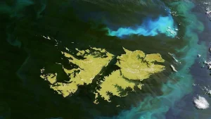 Reino Unido salió a reafirmar su postura sobre las Islas Malvinas