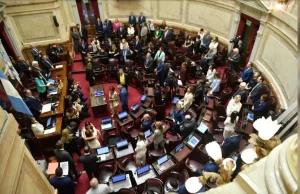 Senado debate la reforma de Salud Mental: cuáles son los cambios destacados