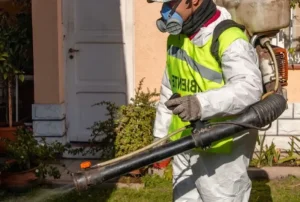 La Ciudad de San Juan activará una semana de fumigación y control de roedores en varios sectores