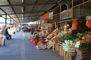 La reapertura del Paso Internacional reactiva el ingreso de mercadería y frena el aumento en frutas y verduras