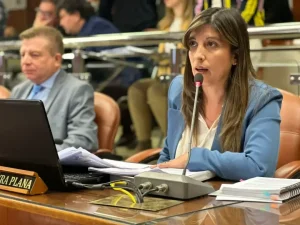 Sonia Ferreyra descartó fracturas en el peronismo y reclamó el ingreso del proyecto de reforma electoral