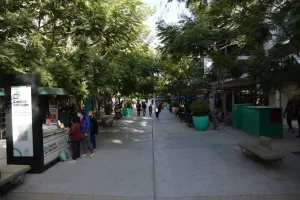 El Gobierno provincial distribuirá 8.000 árboles en los 19 departamentos para potenciar el arbolado urbano
